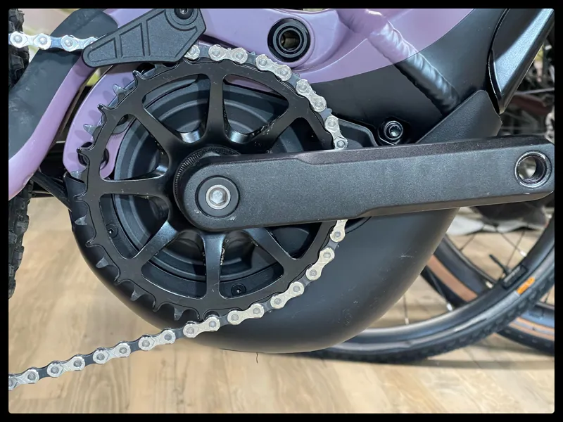 Liv Embolden E+ 2 29er Small Purple Ash 2022-8